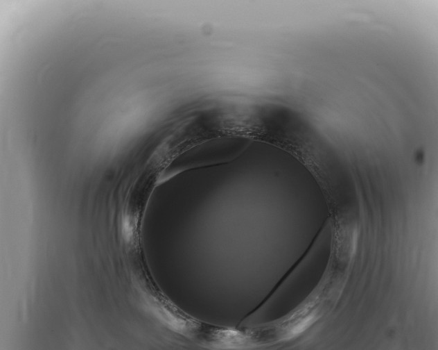 X0000090770239200707271534