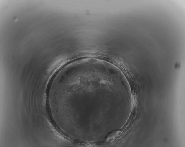 X0000090770243200707271533