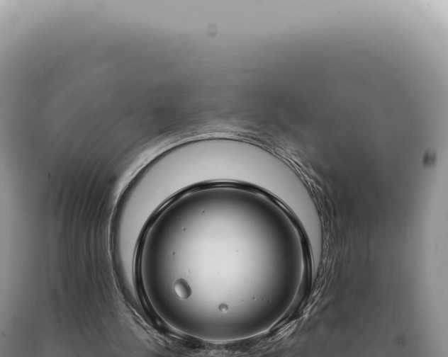 X0000090770244200707271533