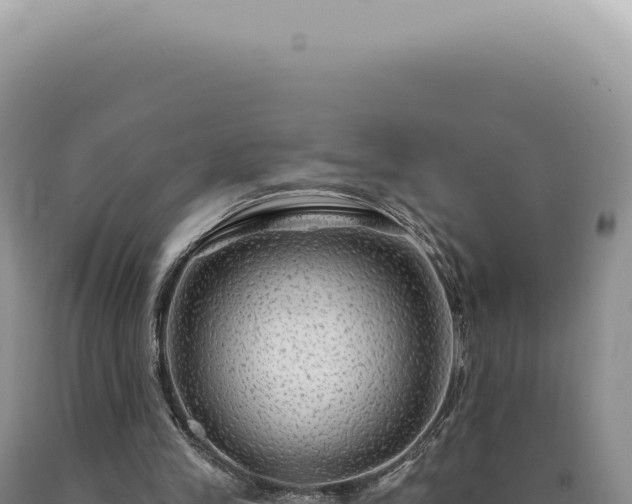 X0000090770245200707271533