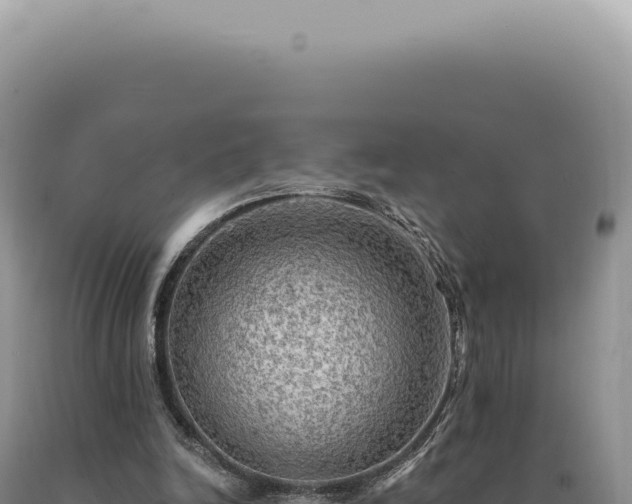 X0000090770246200707271533