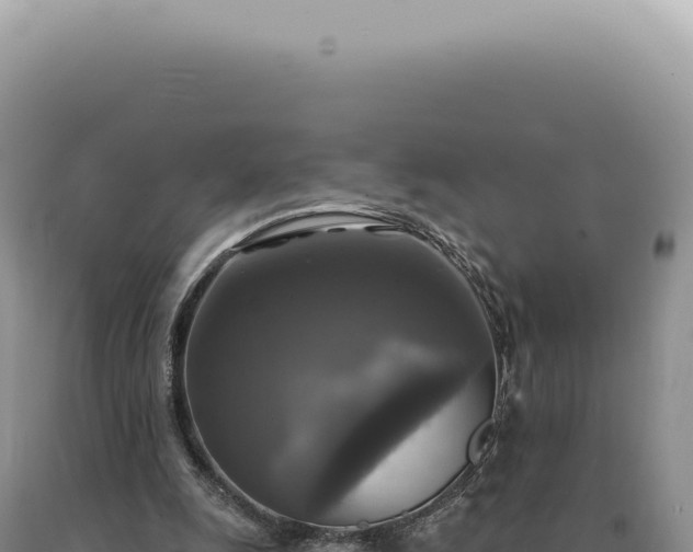 X0000090770247200707271533
