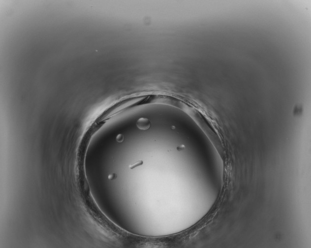 X0000090770248200707271533