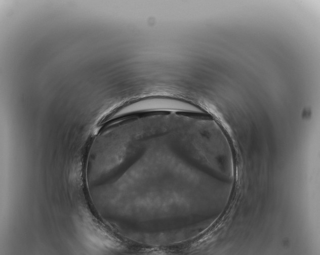 X0000090770249200707271533