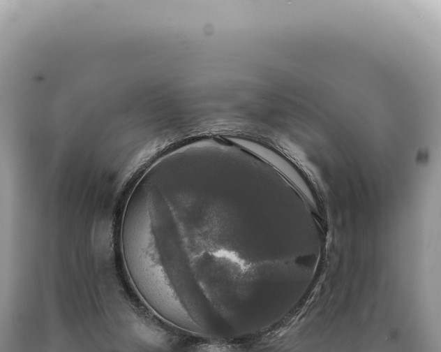 X0000090770250200707271533