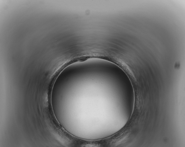 X0000090770251200707271533