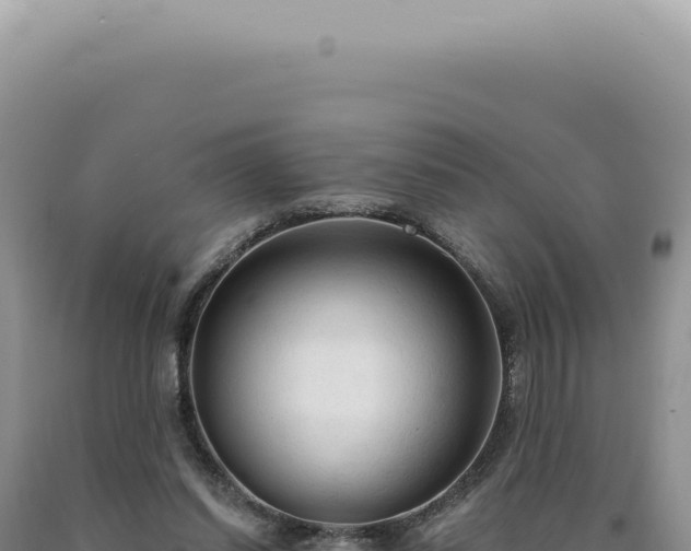 X0000090770254200707271533