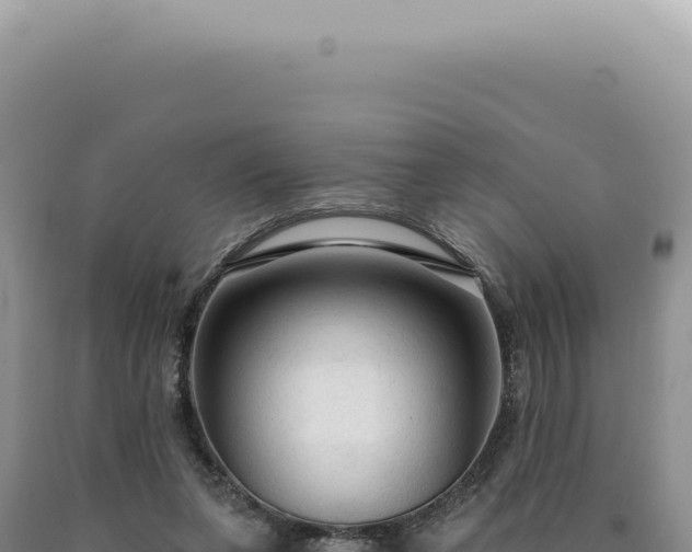 X0000090770255200707271533