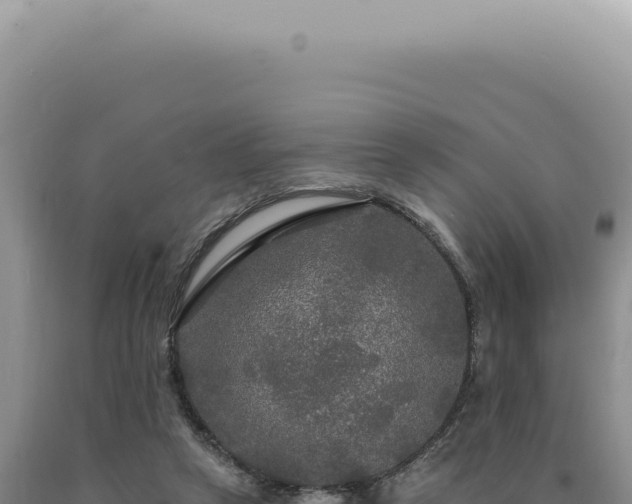 X0000090770257200707271533