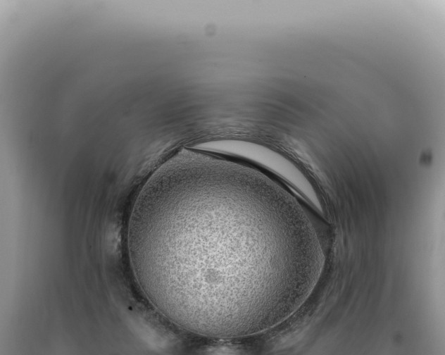 X0000090770259200707271533