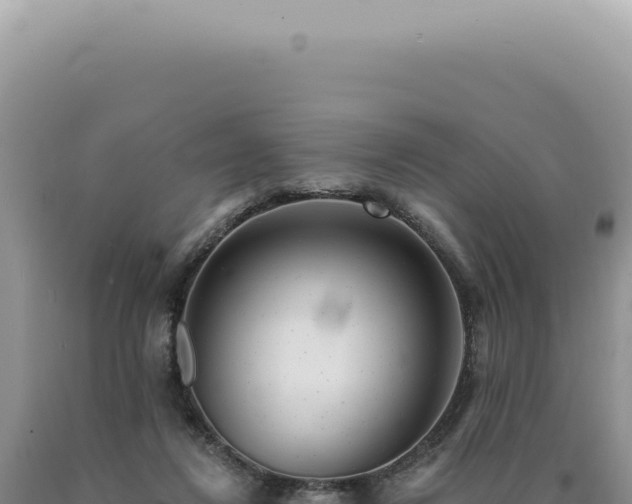 X0000090770260200707271533