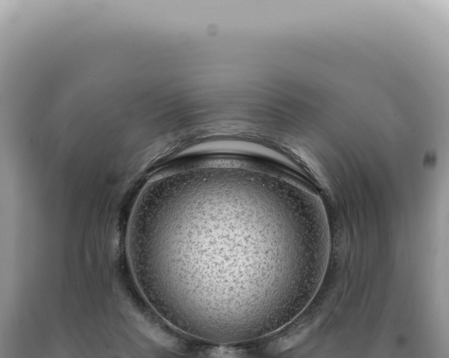 X0000090770261200707271533