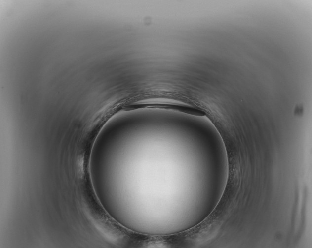 X0000090770262200707271533
