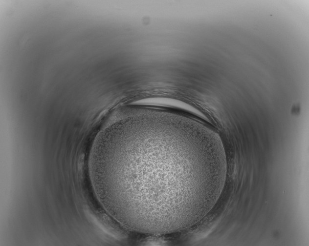 X0000090770263200707271533