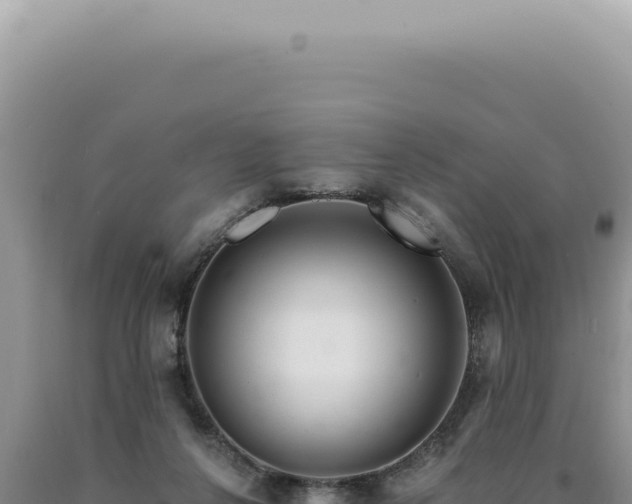 X0000090770264200707271533