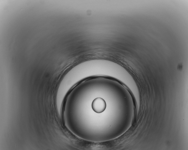 X0000090770268200707271533