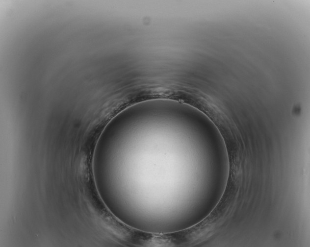 X0000090770270200707271533