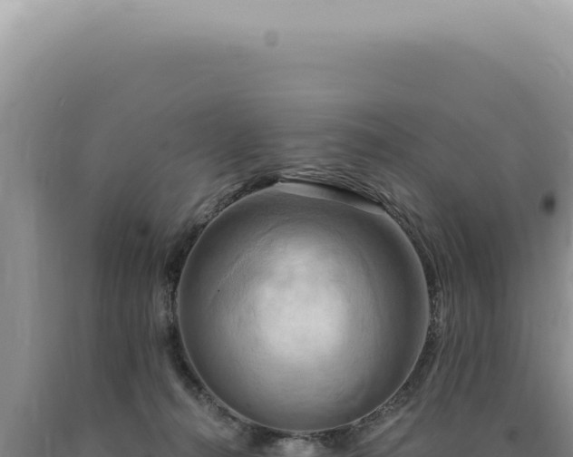 X0000090770272200707271533