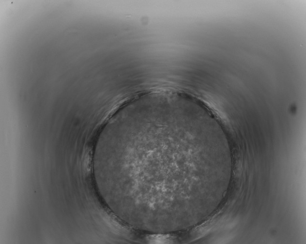 X0000090770273200707271533