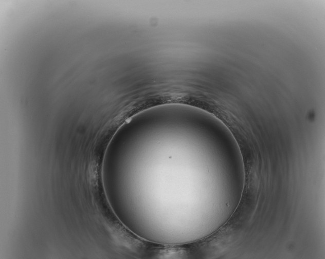 X0000090770274200707271533