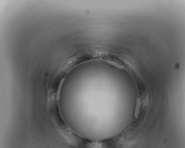X0000090770276200707271533