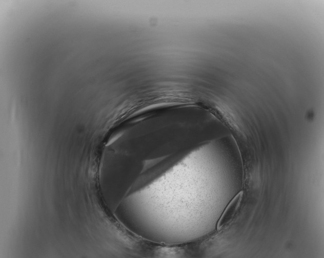 X0000090770277200707271534