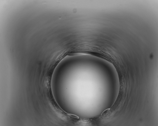 X0000090770280200707271534