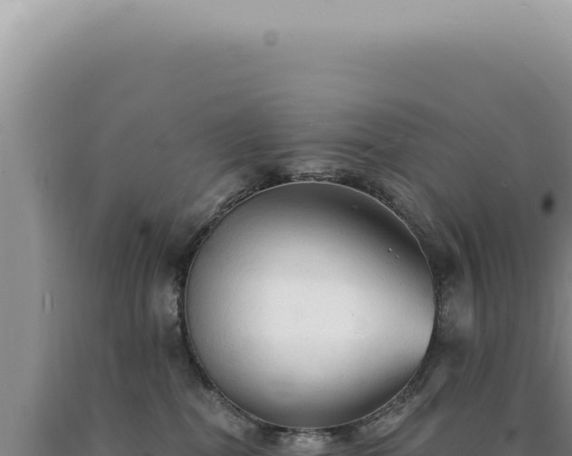 X0000090770282200707271534