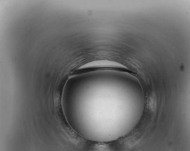 X0000090770283200707271534