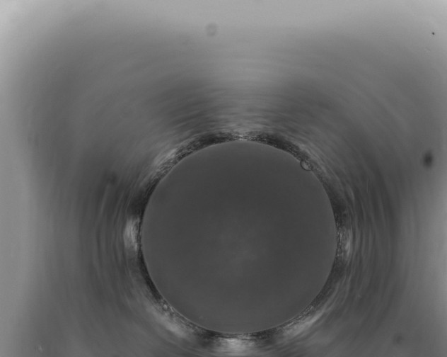 X0000090770286200707271534