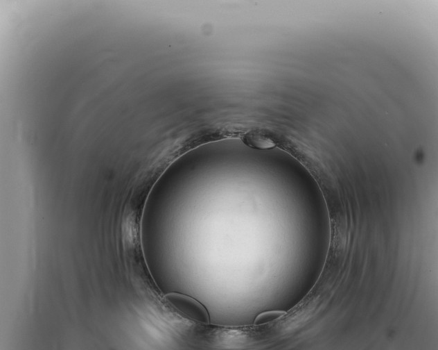 X0000090770287200707271534