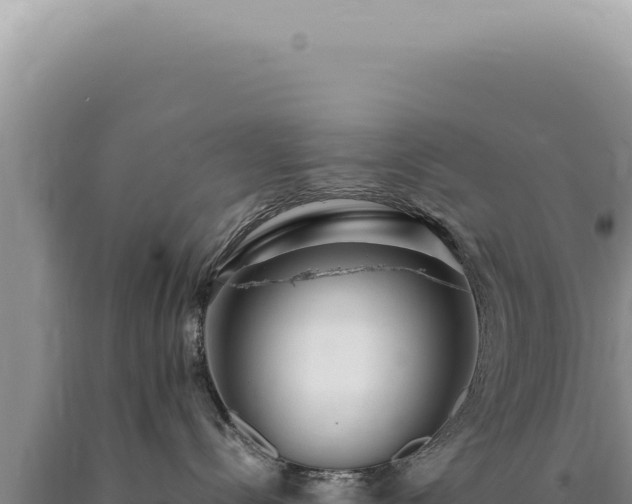 X0000090770288200707271534