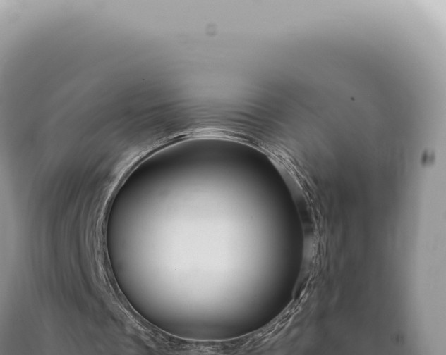 X0000090770289200707271533