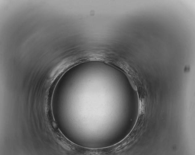 X0000090770291200707271533