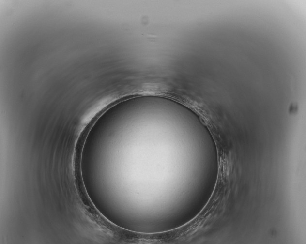 X0000090770292200707271533