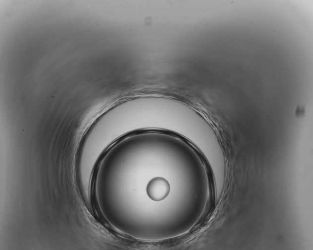 X0000090770293200707271533