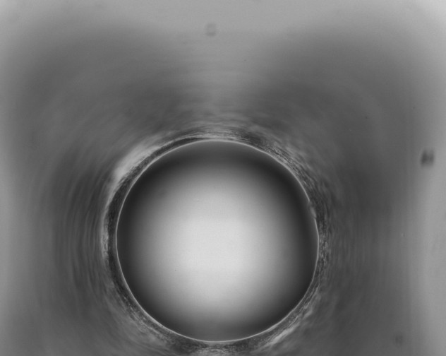 X0000090770294200707271533