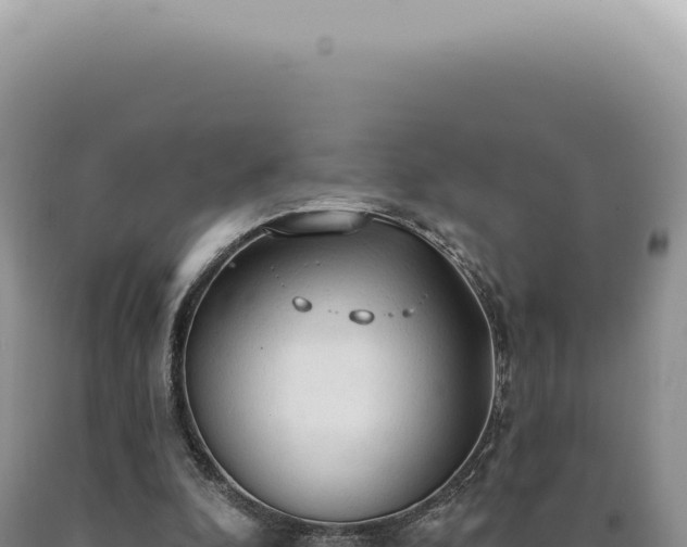 X0000090770296200707271533