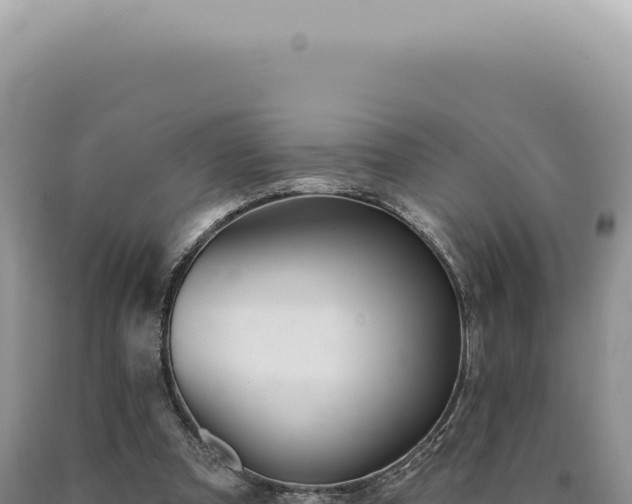 X0000090770297200707271533