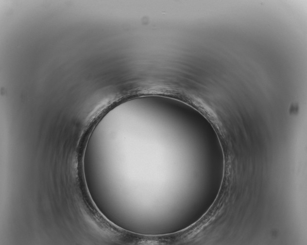 X0000090770298200707271533