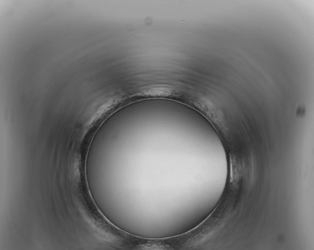 X0000090770300200707271533
