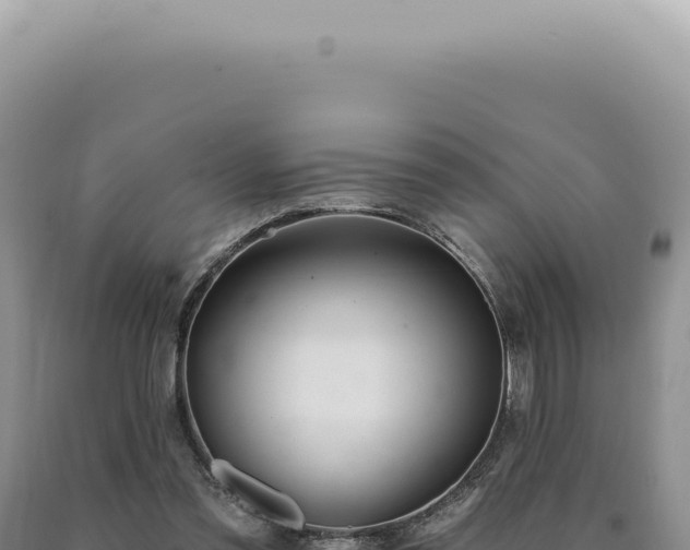 X0000090770301200707271533
