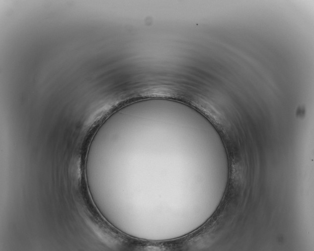 X0000090770302200707271533