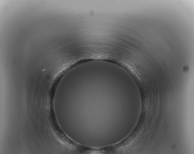 X0000090770303200707271533