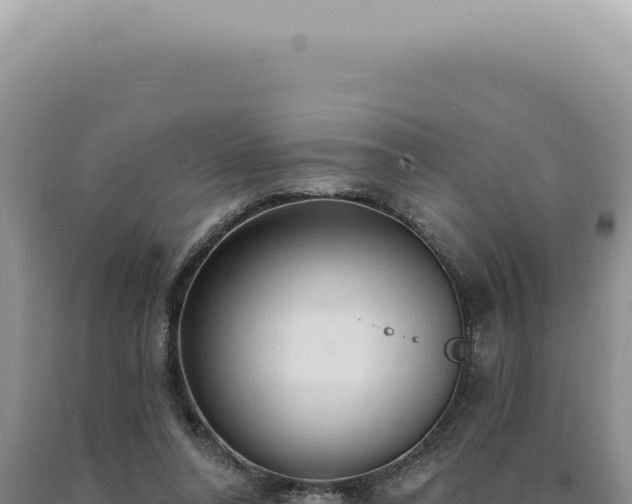X0000090770304200707271533