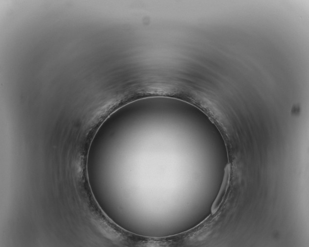 X0000090770305200707271533