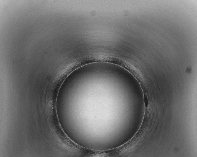 X0000090770306200707271533