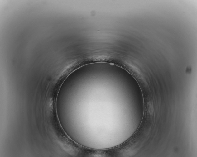 X0000090770308200707271533