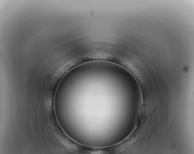 X0000090770309200707271533