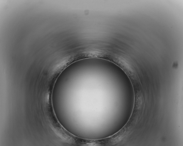 X0000090770310200707271533